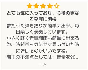 夢だった弾き語りが簡単に出来、毎日楽しく演奏しています。小さく軽く、音量調節も簡単に出来る